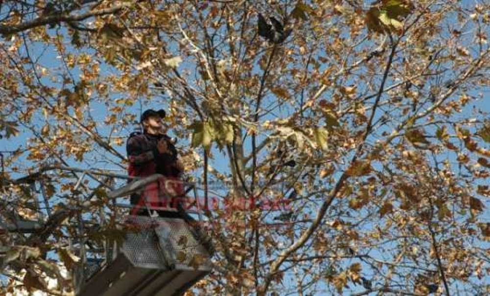 İtfaiyeden Güvercin Operasyonu