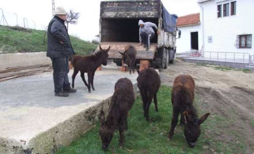 Onların Isimleri Artık