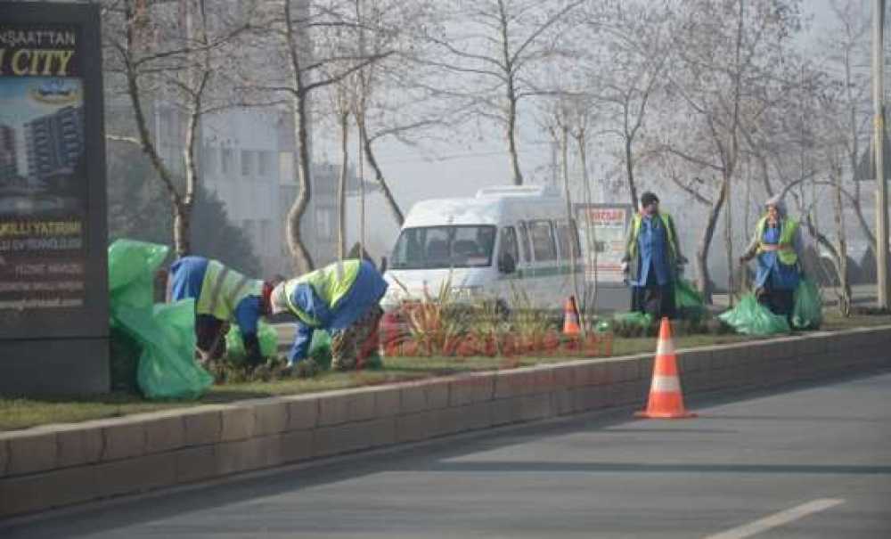Park Ve Bahçeler Müdürlüğü Ekipleri Çalışıyor
