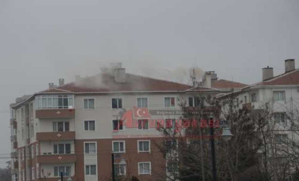 Bacalar Zehir Saçıyor