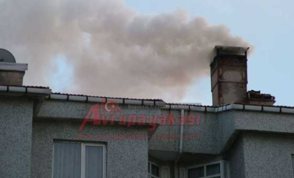 Bacalar Zehir Saçıyor