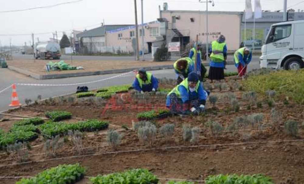 Yeni Sanayi Kavşağına Peyzaj Çalışması