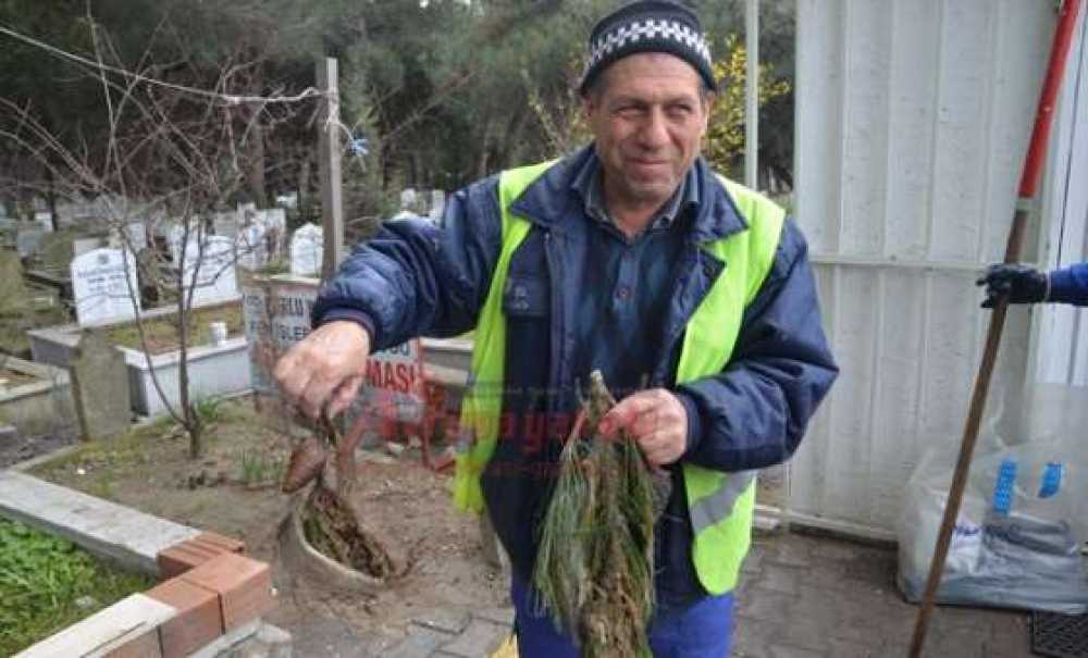 Çorlu Belediyesi'nden Tırtıl Timi