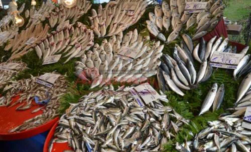 Balık Az Fiyatlar Arttı