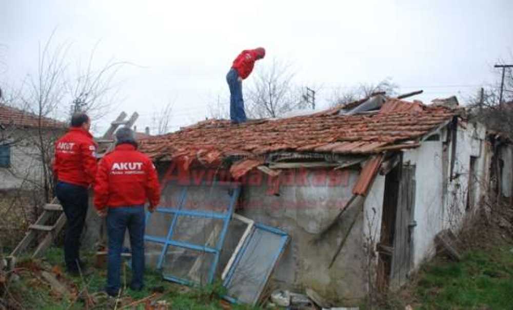 Anne Ve Yavru Köpeği Akut Kurtardı