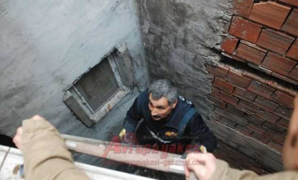 İtfaiyeden Kedi Operasyonu