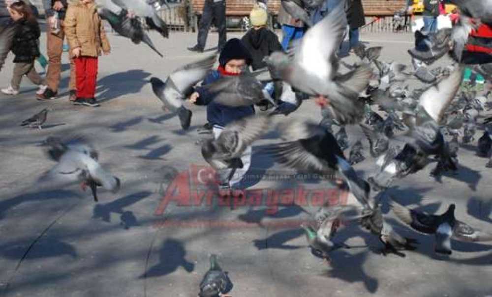 Güvercinler Çocukların İlgi Odağı Oluyor