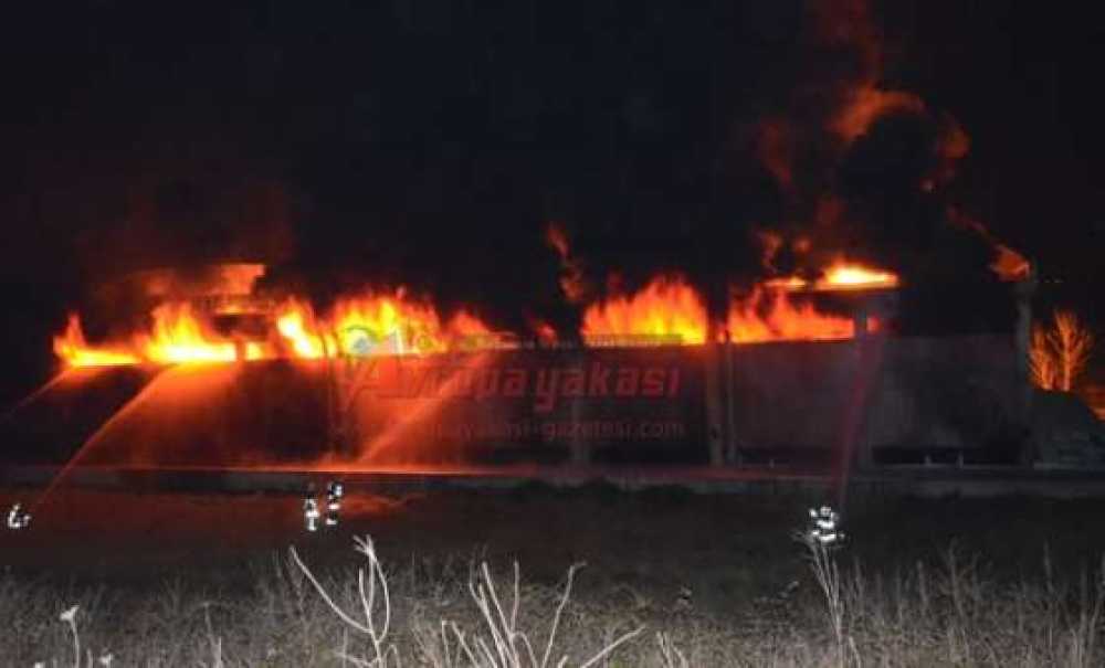 Alevler Geceyi Gündüze Çevirdi