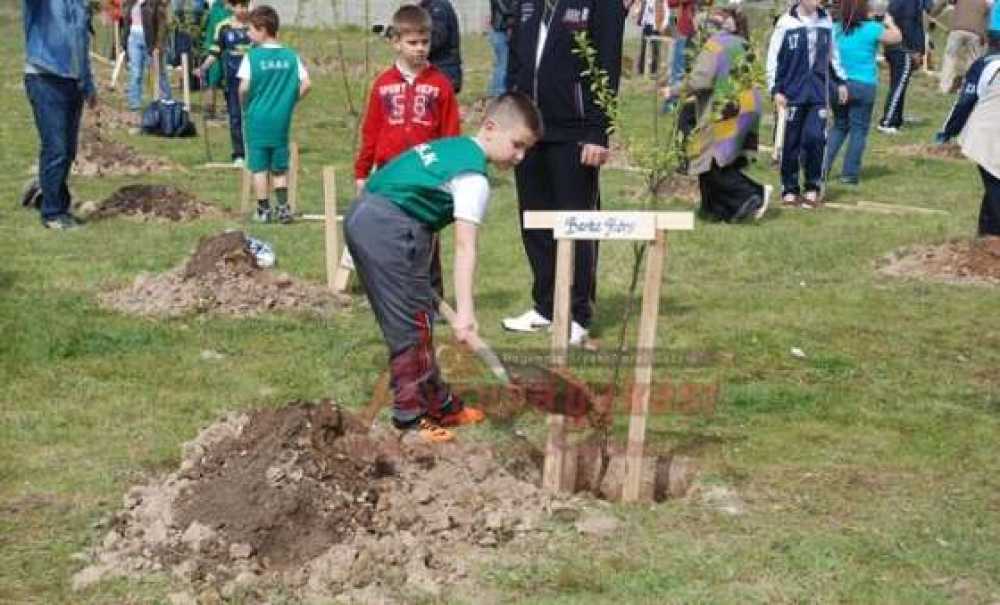 Çbsk Öğrencileri Fidan Dikti