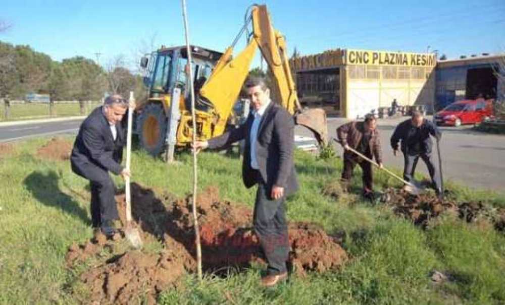 Sanayi Sitesinde Ağaçlandırma Çalışmaları Devam Ediyor
