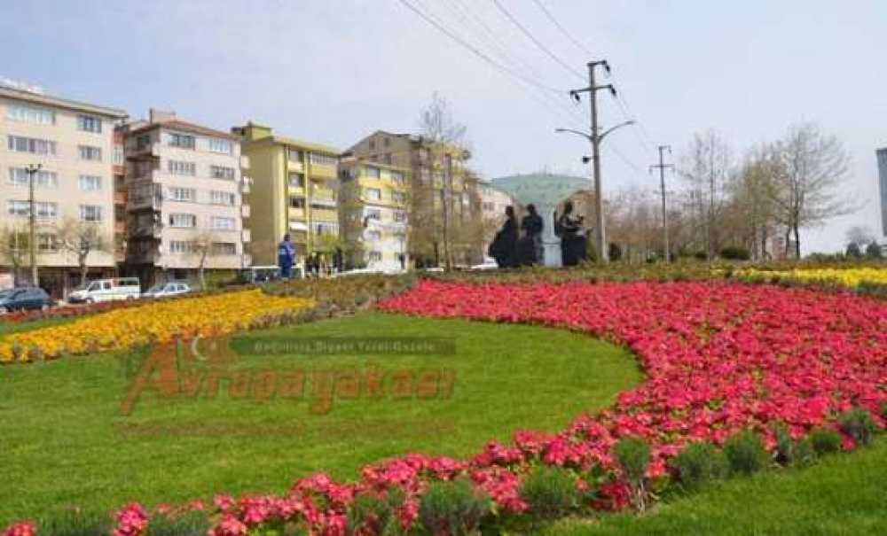 Çorlu Çiçek Açtı