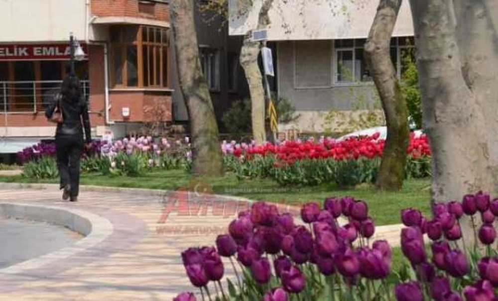 Çorlu Çiçek Açtı