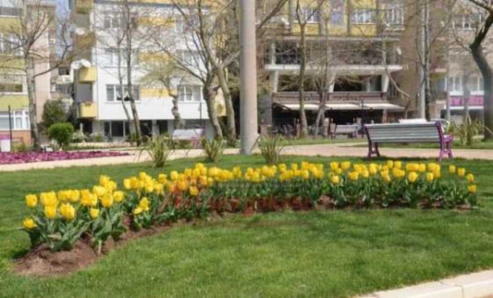 Çorlu Çiçek Açtı