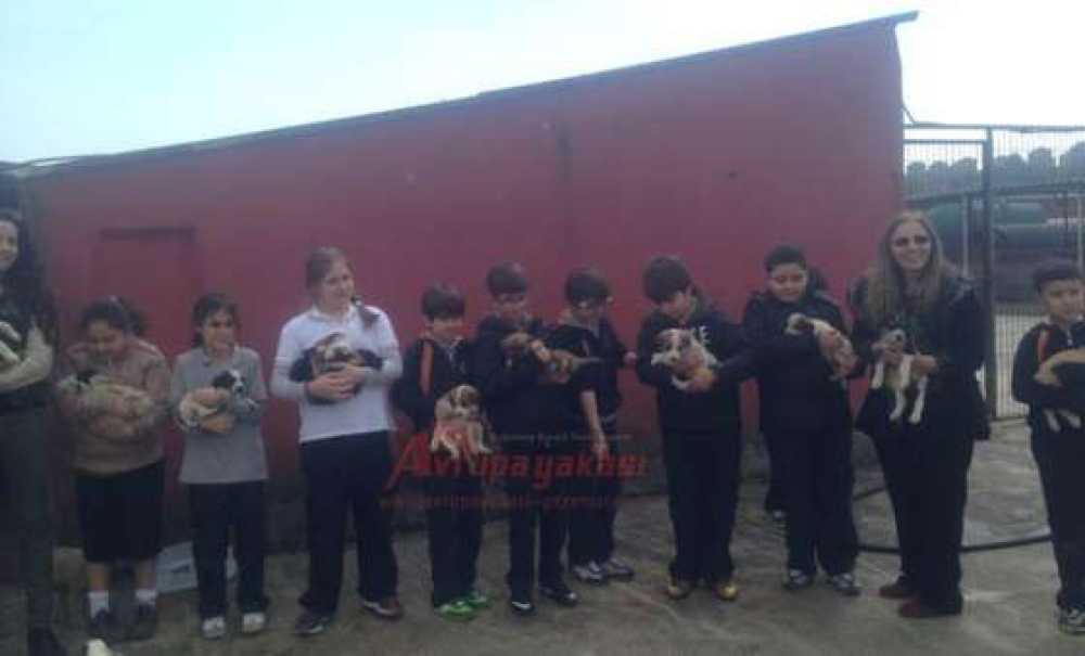 Aka Koleji Öğrencilerinden Hayvan Barınağına Ziyaret