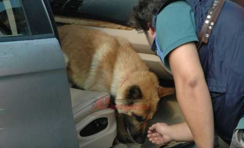 Çorlu Kom Ekipleri Eroin Ele Geçirdi