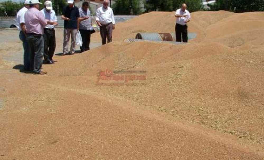 Tmo Randevulu Sisteme Devam Ediyor