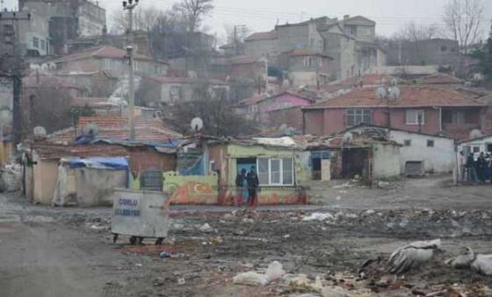 Romanların Kafası Karışık