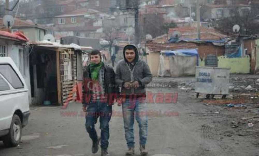 Romanların Kafası Karışık