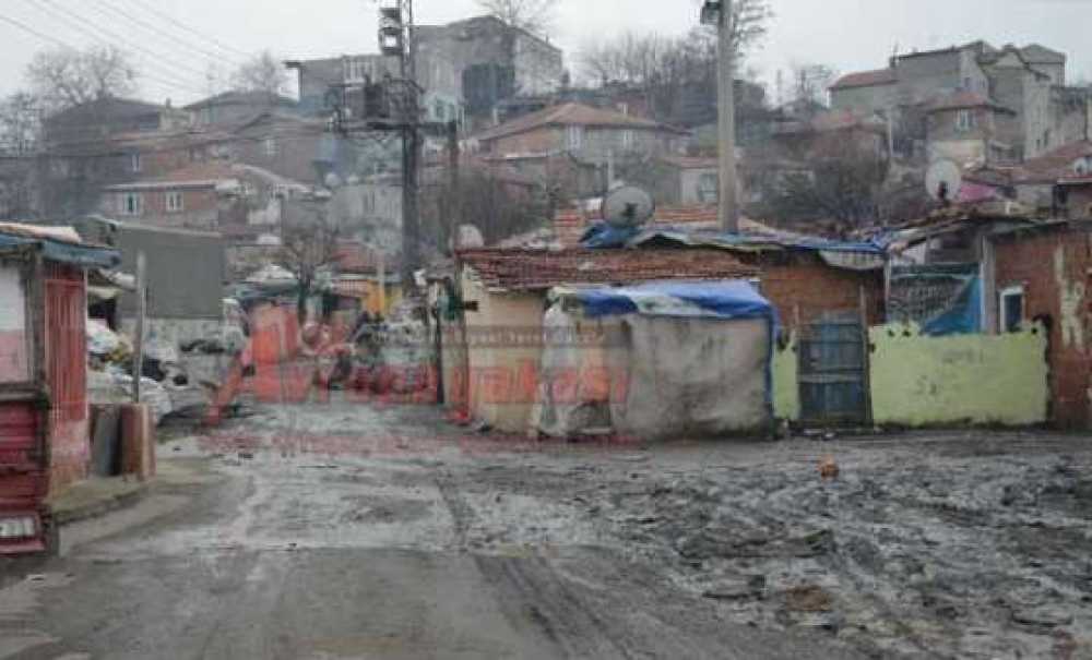 Romanların Kafası Karışık