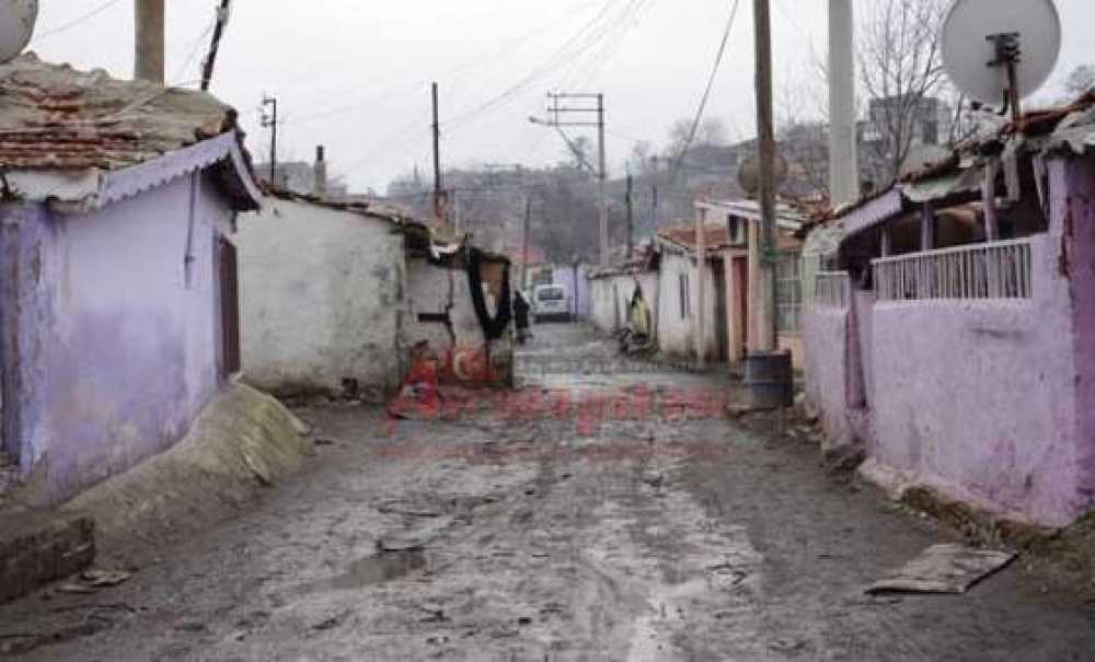 Romanların Kafası Karışık