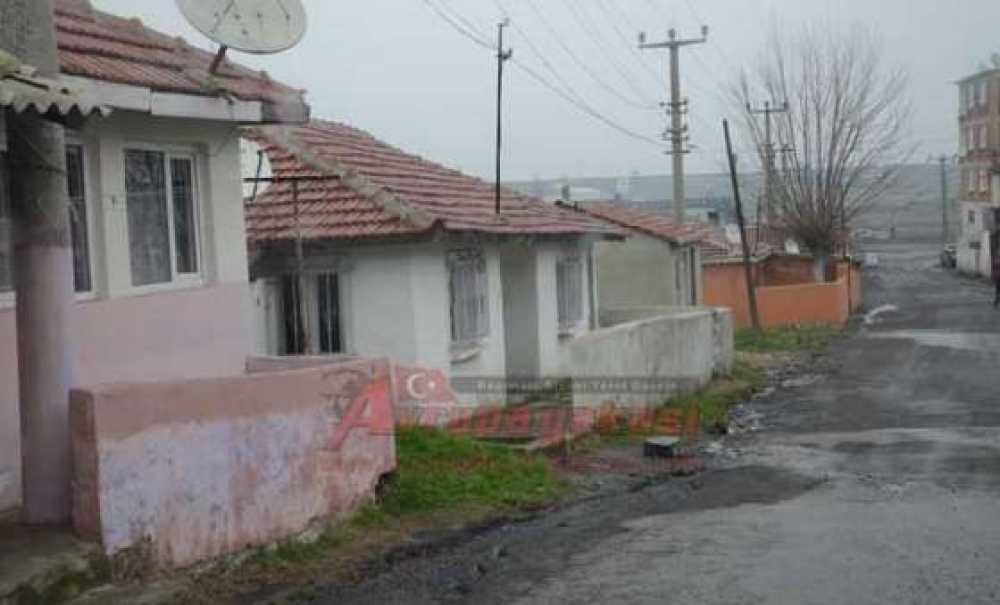 Romanların Kafası Karışık