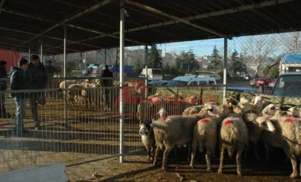 Çorlu Belediyesi Sağlık İşleri Müdürü Nedim Testereci: