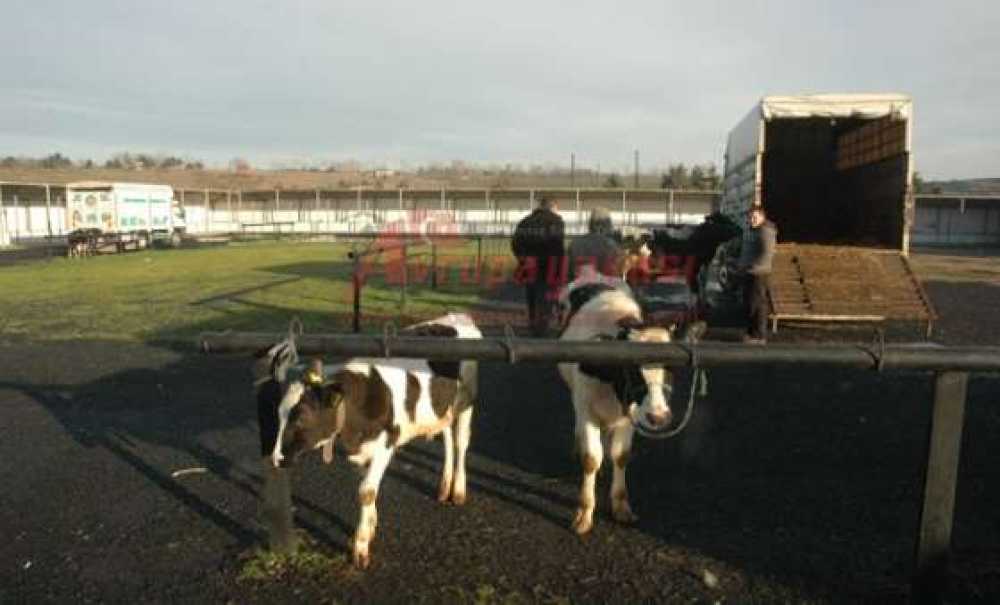 Çorlu Belediyesi Sağlık İşleri Müdürü Nedim Testereci: