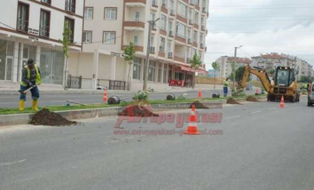 Park Ve Bahçeler Müdürlüğünden Düzenleme