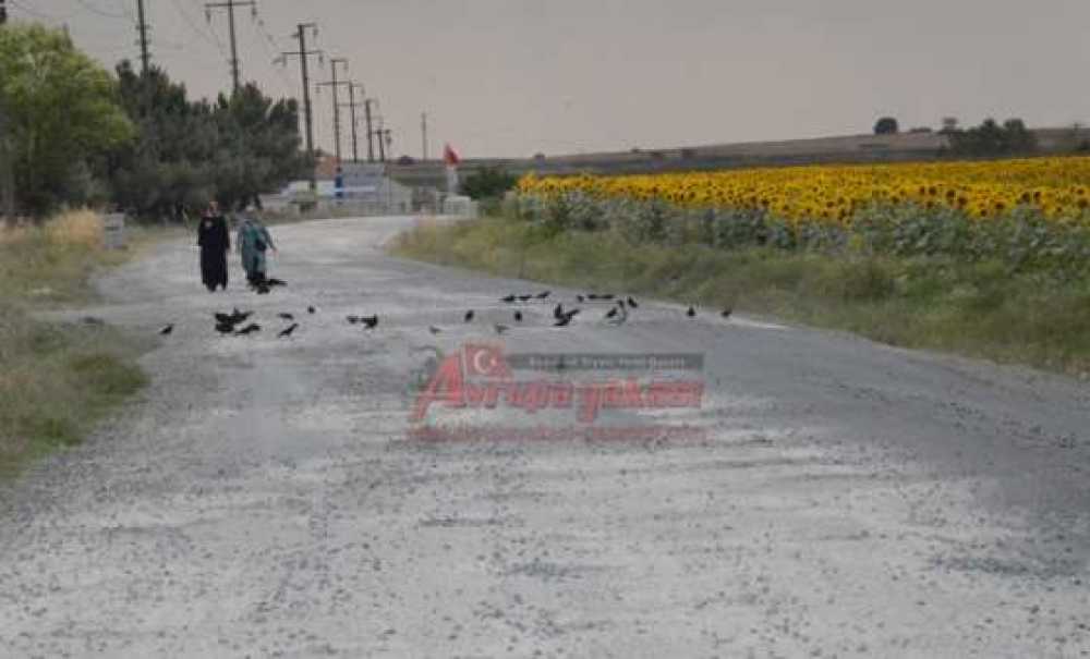 Mahalleler Yol İstiyor