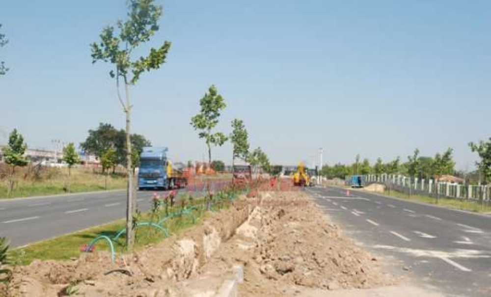 Bülent Ecevit Bulvarı Ağaçlandırılıyor