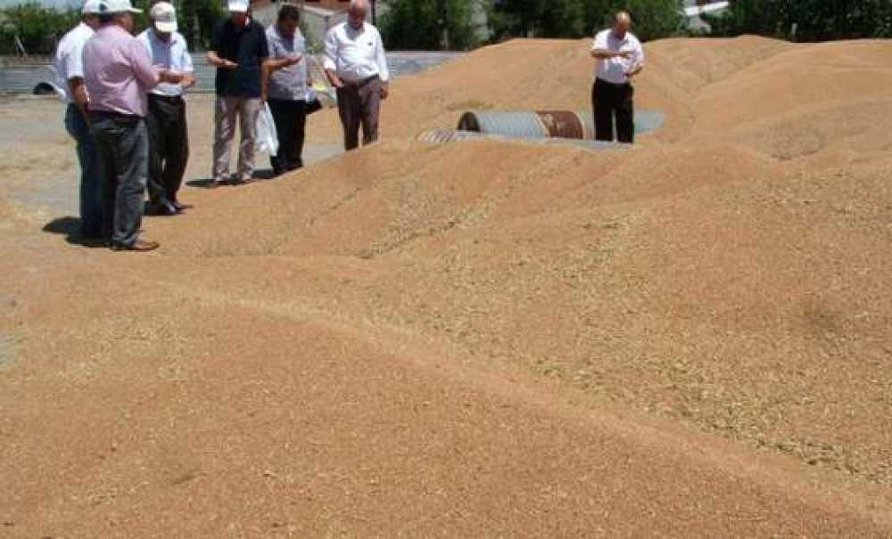 Tmo Çorlu Ajans Amirliği Taahhütname Ile Alımlara Başladı
