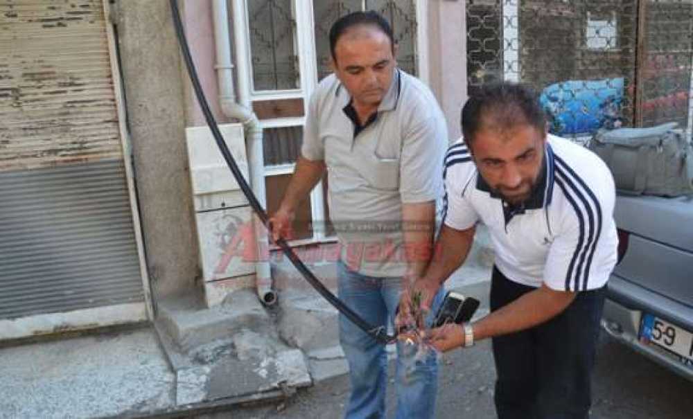 Hırsızlığın Bu Kadarına Pes!