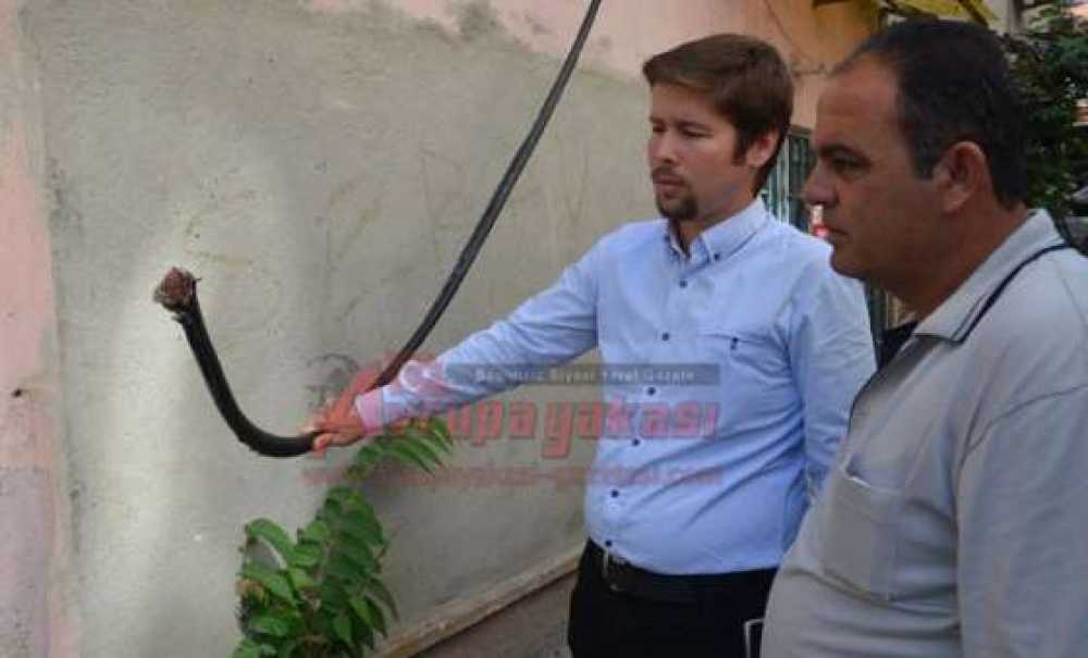 Hırsızlığın Bu Kadarına Pes!