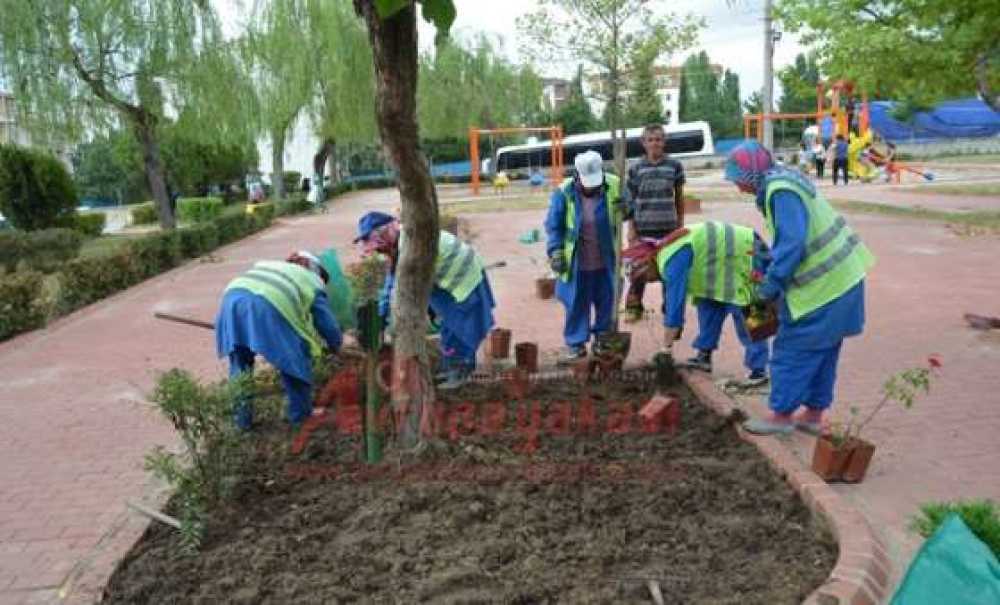 Çorlu'da Park Ve Bahçeler Elden Geçiriliyor