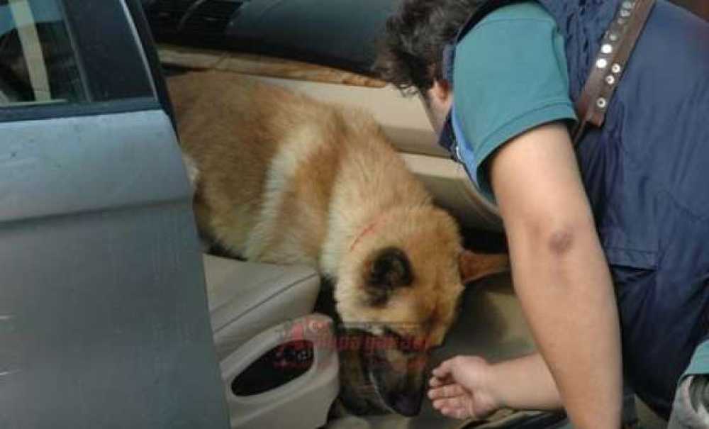 Çorlu`da 145 Kilogram Eroin Ele Geçirildi