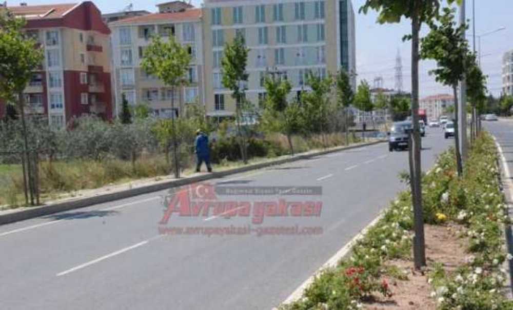 Şehir İçindeki Otlar Biçiliyor