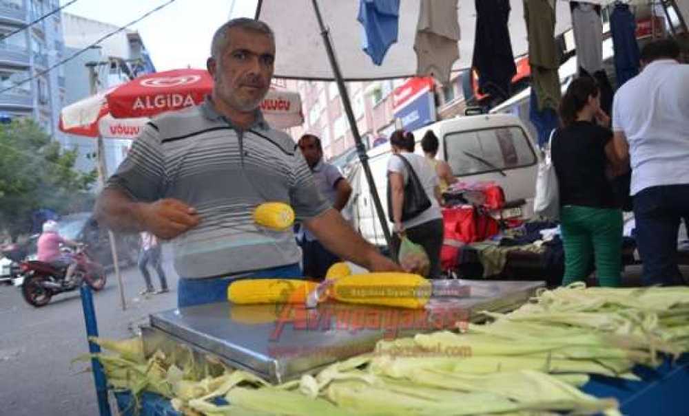 Süt Mısır Tezgahta