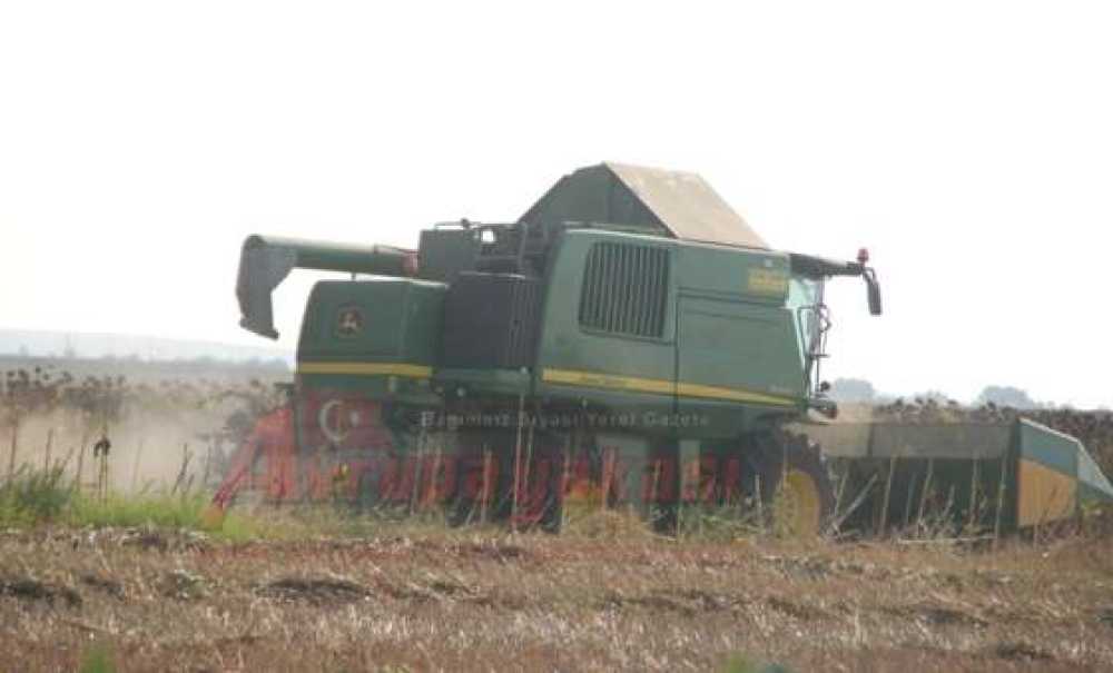 Ayçiçeğinde Hasat Başladı