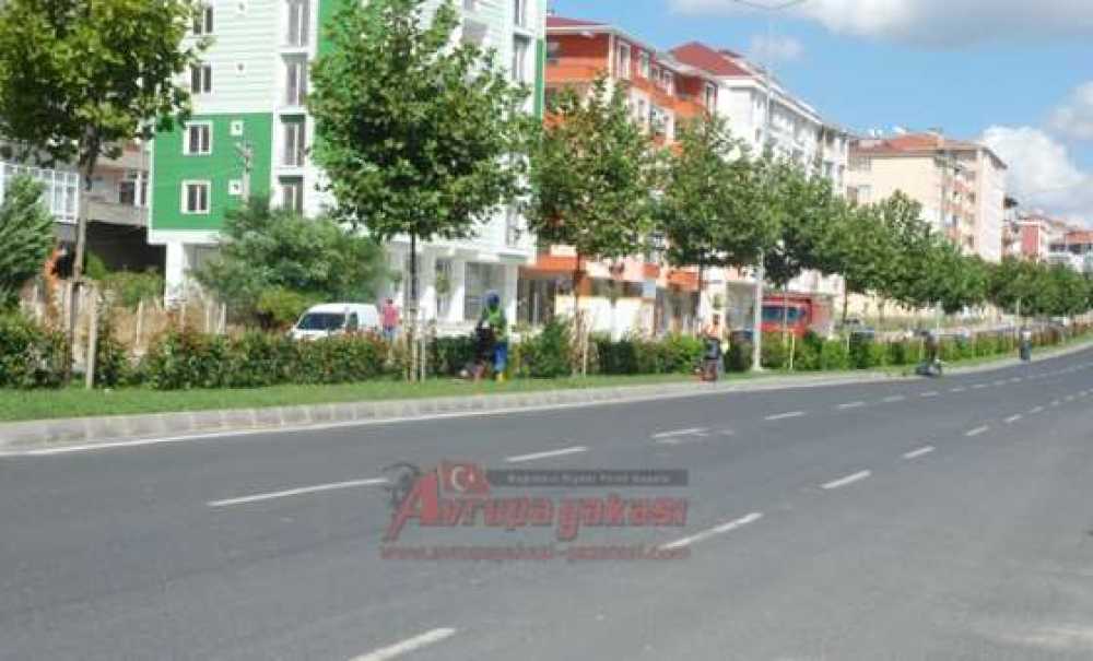 Park Ve Bahçeler Müdürlüğü Ekiplerinden Refüjlere Bakım