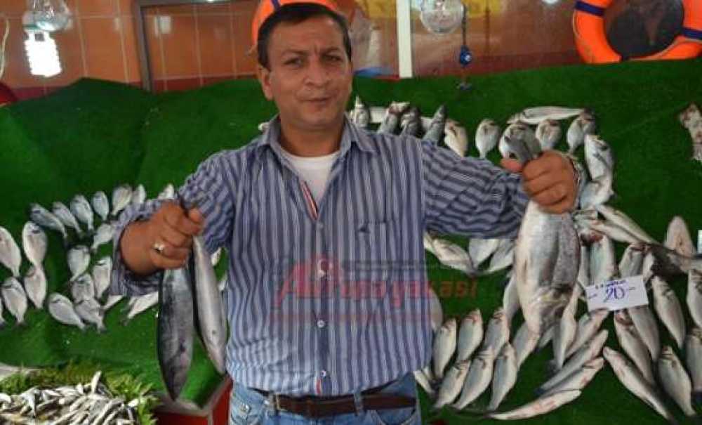 Balık Tezgaha Düştü