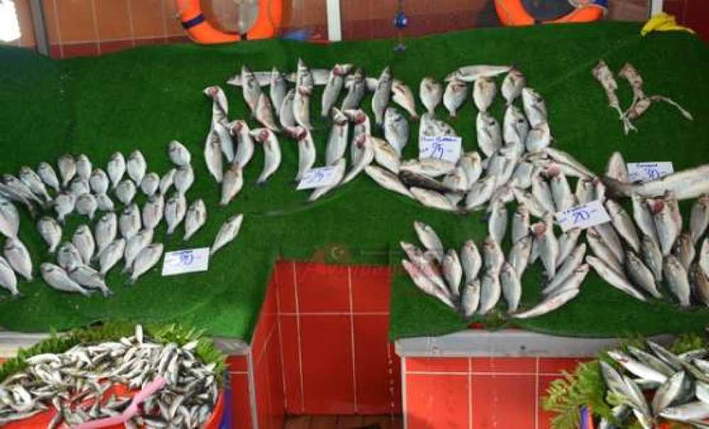 Balık Tezgaha Düştü