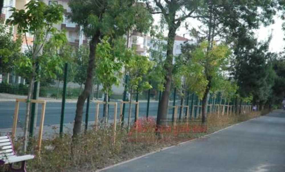 Cumhuriyet Parkı`nda Kesilen Ağaçların Yerine Yenileri Dikildi