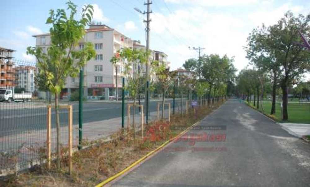 Cumhuriyet Parkı`nda Kesilen Ağaçların Yerine Yenileri Dikildi