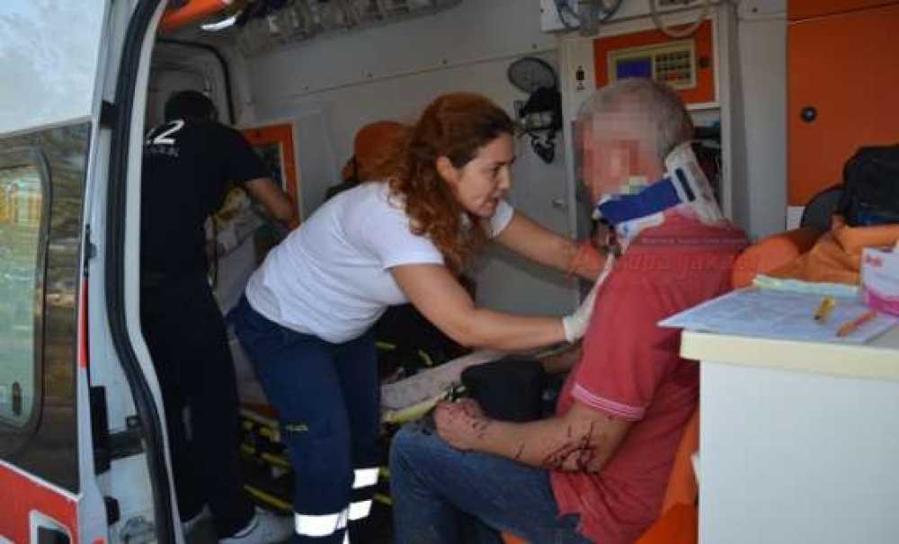 Facia Gibi Trafik Kazası