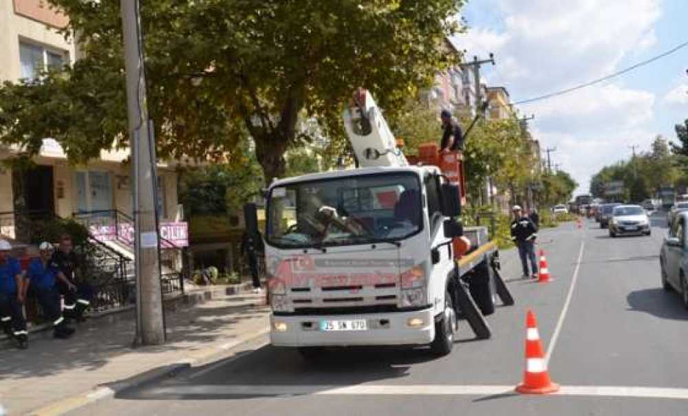 Ağaçlar Budanıyor