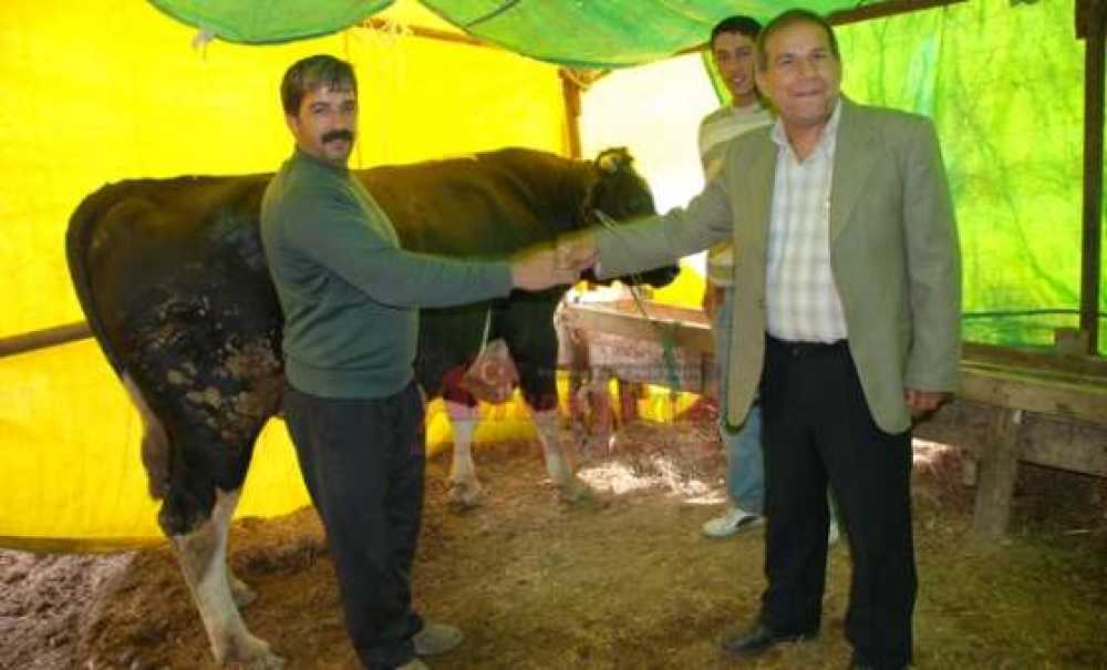 Kurban Hizmetleri Komisyonu Kararları Açıklandı