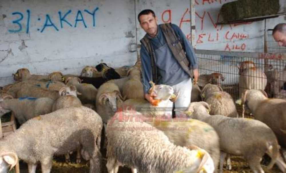 Kurban Hizmetleri Komisyonu Kararları Açıklandı