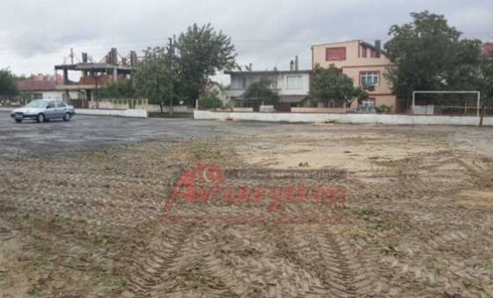 Ergene'de Ağaç Katliamı İddiası