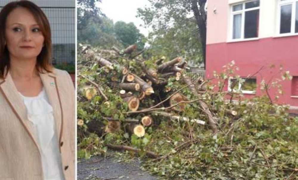 Ergene Belediyesi`nden Ağaç Açıklaması