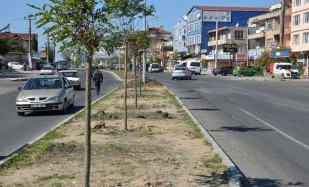 Ergene Belediyesi Ağaçlandırma Çalışmalarına Önem Veriyor